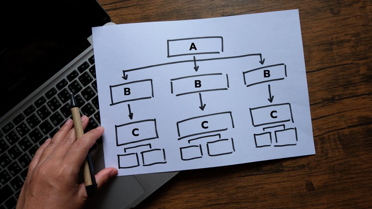 organization chart image